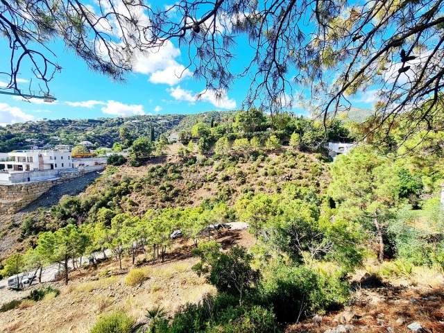 Tomt, El Madroñal, R5195473