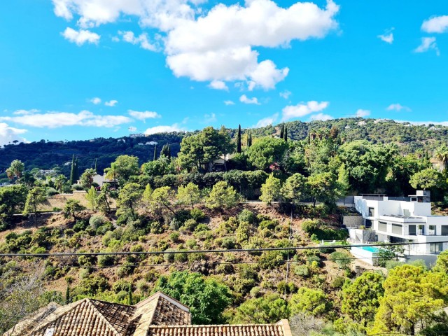 Tomt, El Madroñal, R5195473