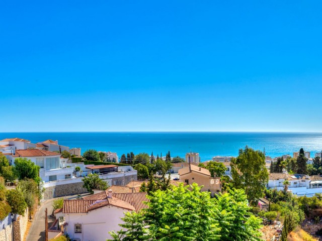 Penthouse, Torreblanca