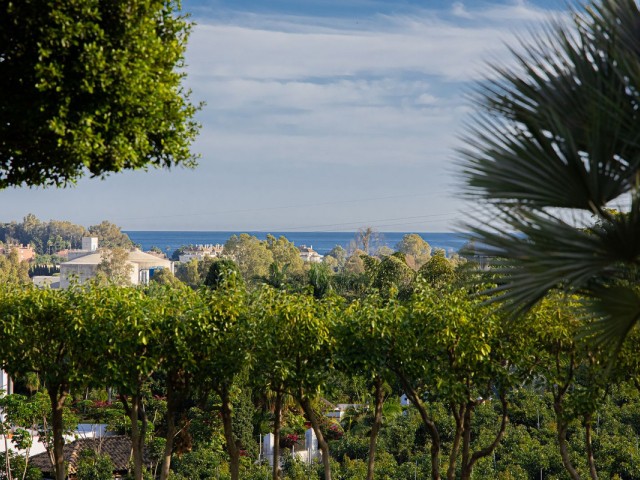 3 Bedrooms Apartment in Estepona