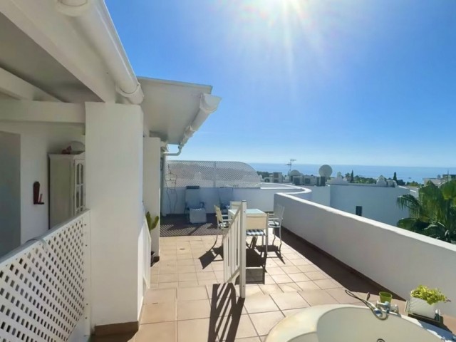 Penthouse, The Golden Mile