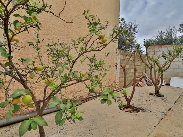 6 Bedrooms Villa in Alfarnatejo