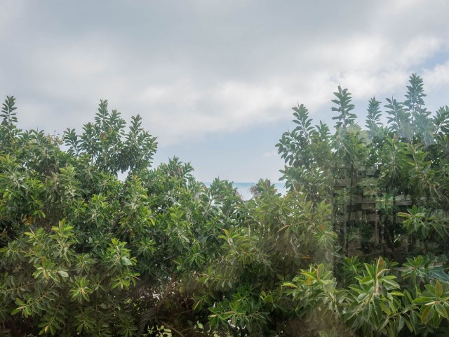 3 Bedrooms Apartment in Torremolinos