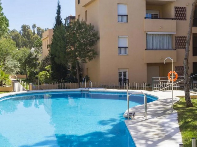 Apartment, Elviria