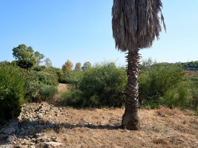  Plot in Estepona