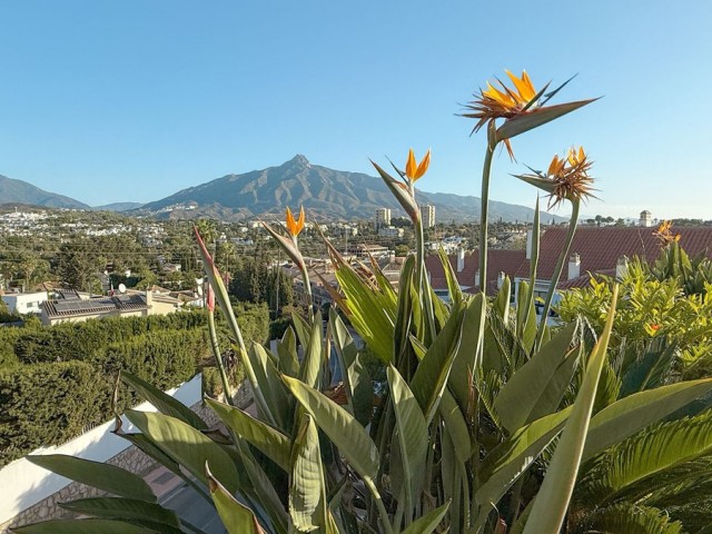 Penthouse in Nueva Andalucía