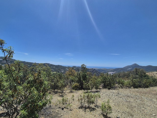  Perceel in La Zagaleta