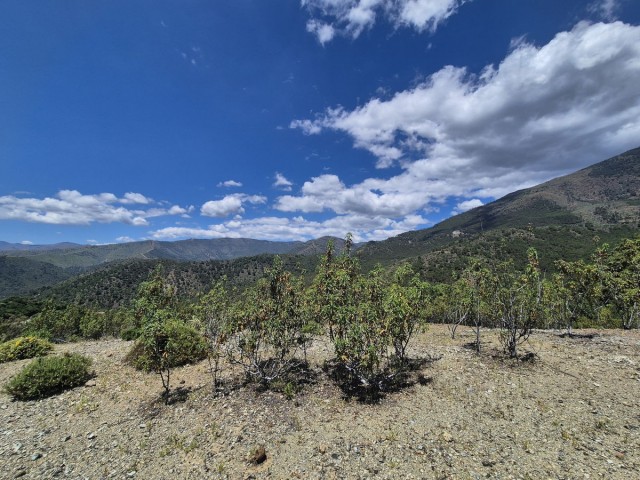  Perceel in La Zagaleta