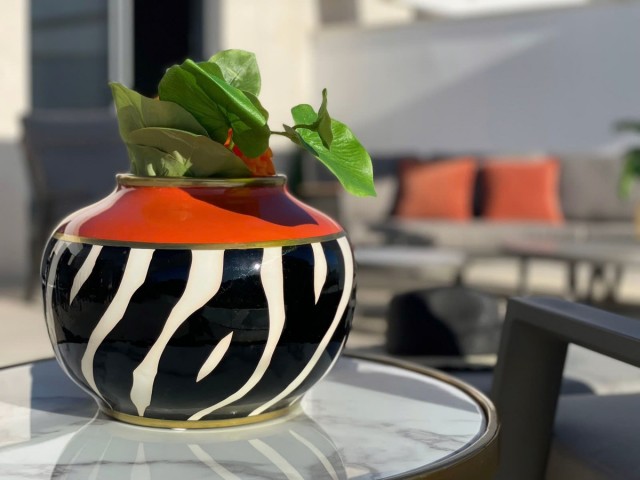 Penthouse in Elviria