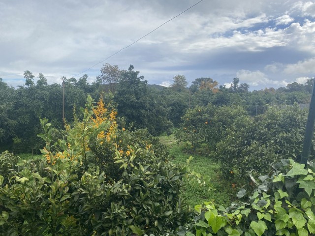  Perceel in Sotogrande