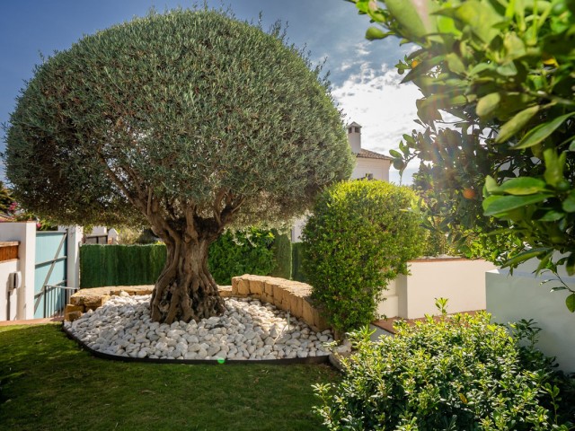 6 Slaapkamer Villa in Guadalmina Baja