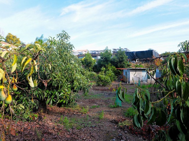  Grundstück in San Pedro de Alcántara