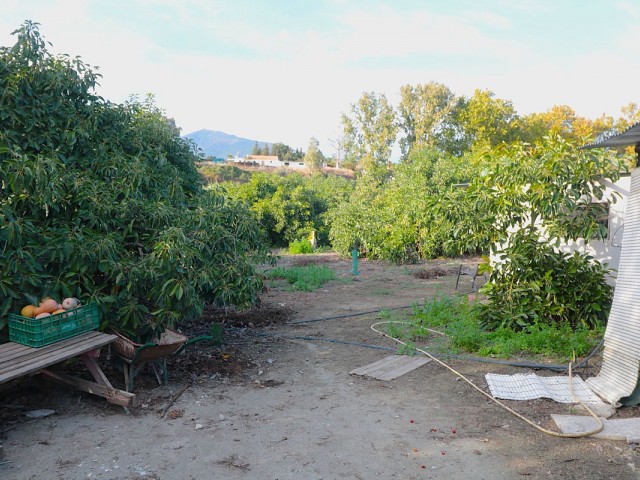  Terreno en San Pedro de Alcántara