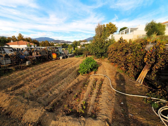  Terreno en San Pedro de Alcántara