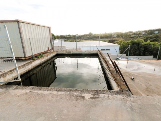  Terreno en San Pedro de Alcántara