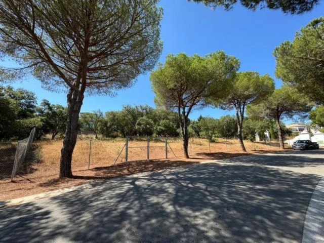  Tontti Sotogrande Alto