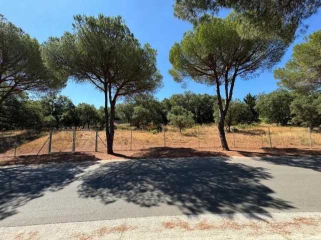  Grundstück in Sotogrande Alto