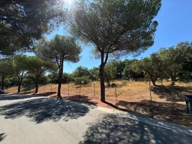  Grundstück in Sotogrande Alto