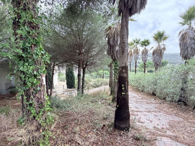 5 Makuuhuoneen Huvila Sotogrande