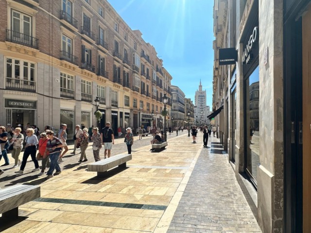 1 Soveroms Leilighet i Málaga