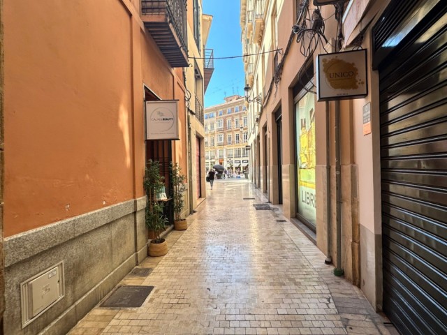 1 Sovrums Lägenhet i Málaga