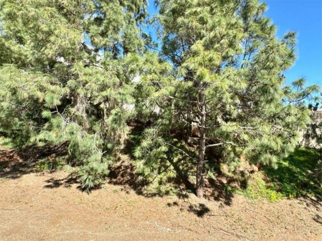 3 Schlafzimmer Reihenhaus in El Chaparral