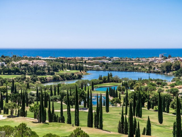  Plot in Los Flamingos