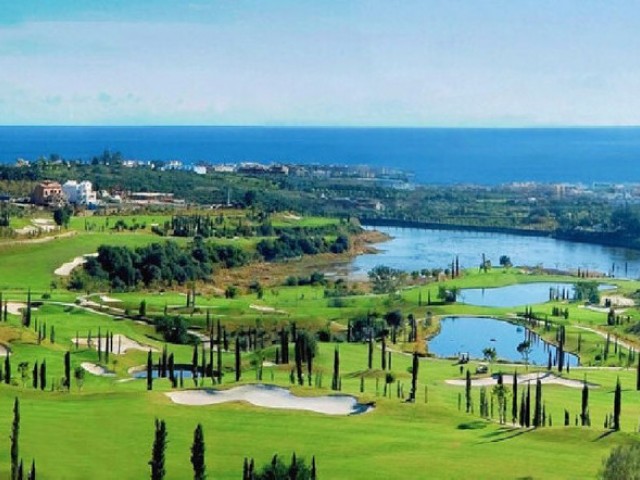  Plot in Los Flamingos