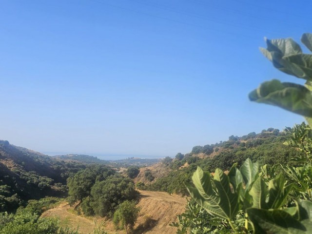 3 Schlafzimmer Villa in Estepona