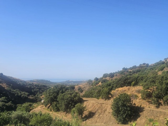 3 Schlafzimmer Villa in Estepona