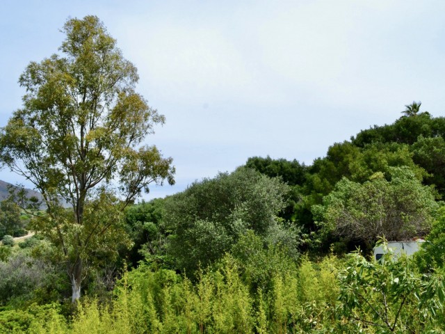  Plot in Estepona