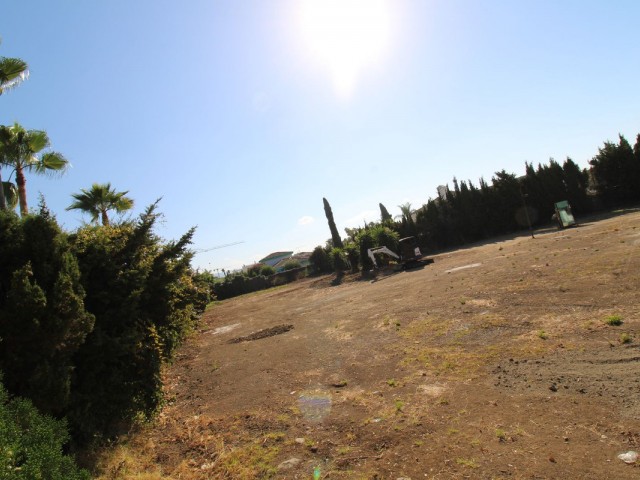  Plot in The Golden Mile