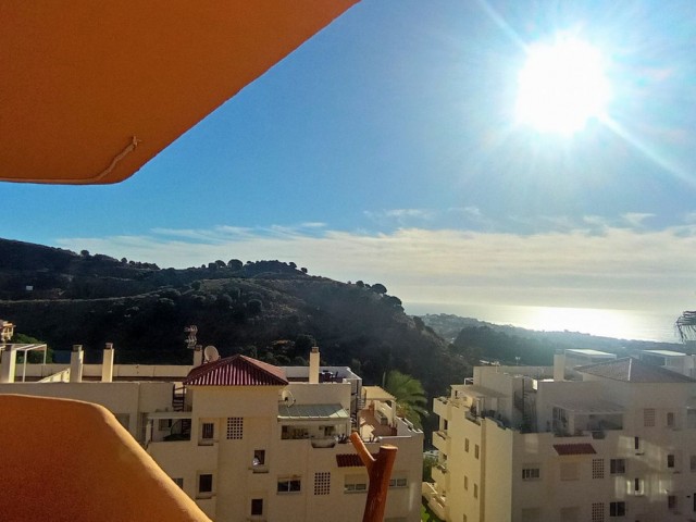 2 Schlafzimmer Apartment in Calahonda