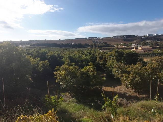  Plot in Estepona