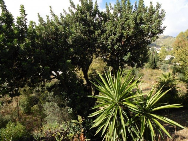  Grundstück in Mijas