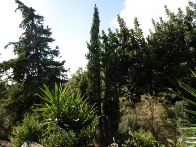 5 Schlafzimmer Reihenhaus in Mijas