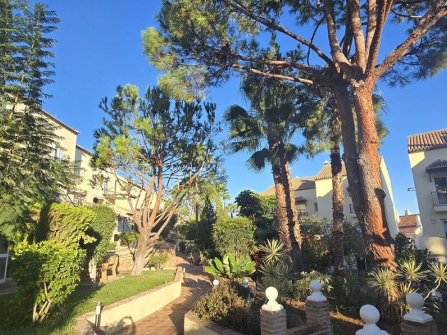 Apartamento con 3 Dormitorios  en Nueva Andalucía