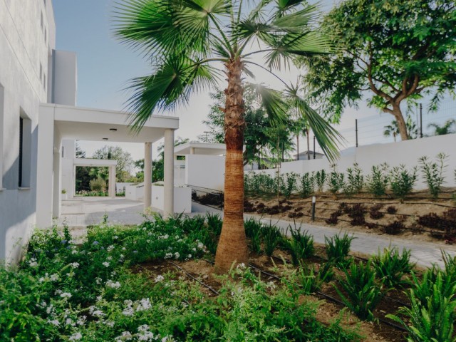 2 Bedrooms Apartment in Estepona