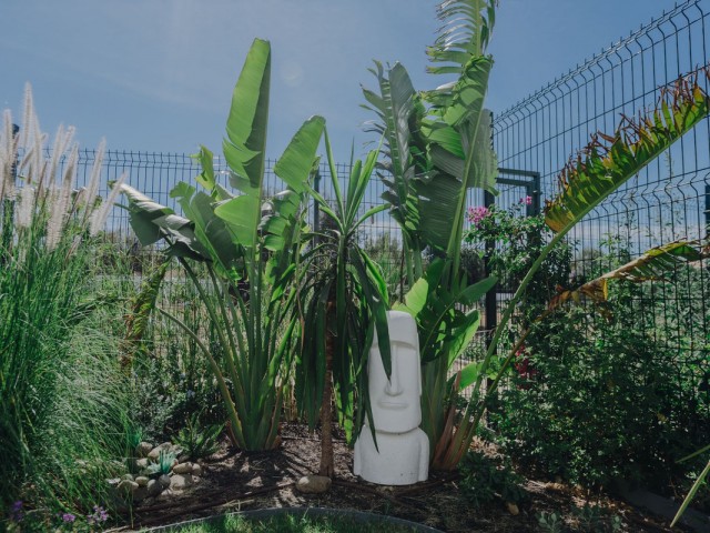 2 Bedrooms Apartment in Estepona