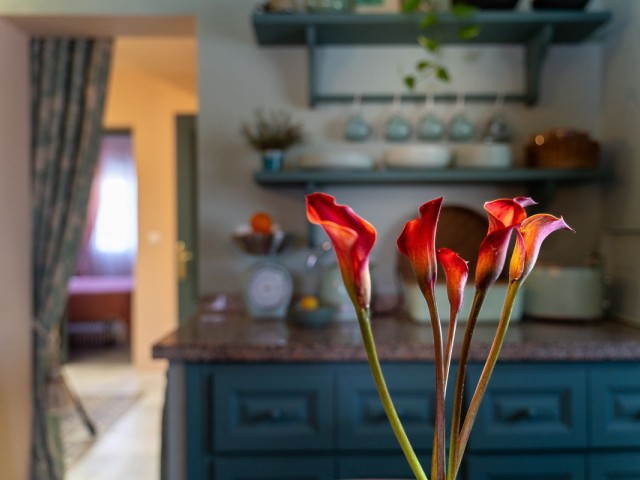 4 Soveroms Rekkehus i San Pedro de Alcántara