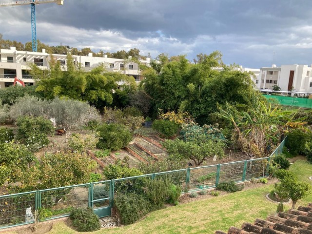  Grundstück in Casares