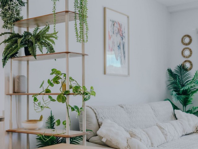 Apartamento con 2 Dormitorios  en Selwo