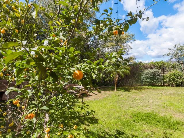 3 Bedrooms Apartment in Benahavís