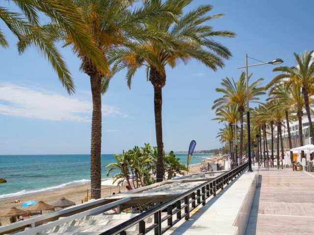 Kommerziell in San Pedro de Alcántara