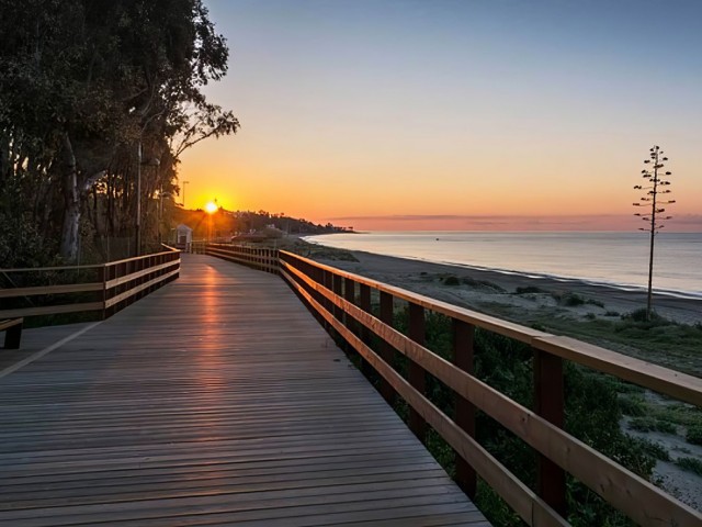 Commercial avec 0 Chambres  à San Pedro de Alcántara