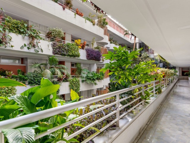 2 Bedrooms Apartment in Marbella