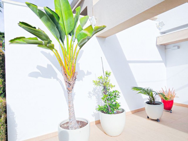 3 Schlafzimmer Villa in La Cala Golf