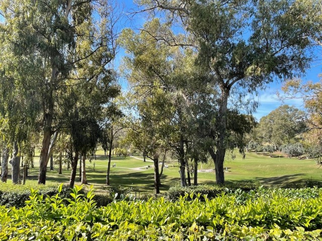 2 Bedrooms Apartment in Estepona