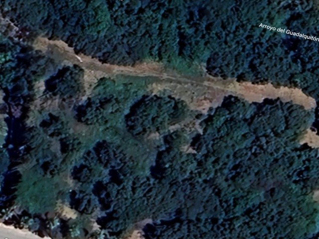  Tontti Sotogrande Alto