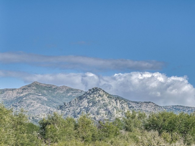 Apartamento con 2 Dormitorios  en Selwo